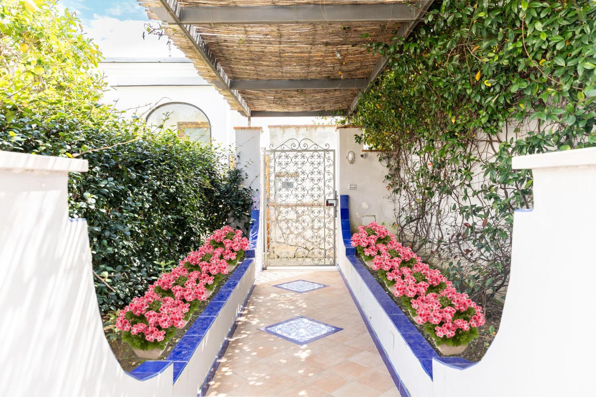 Appartement Maison Blue Capri